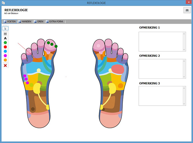 Reflexologieformulier